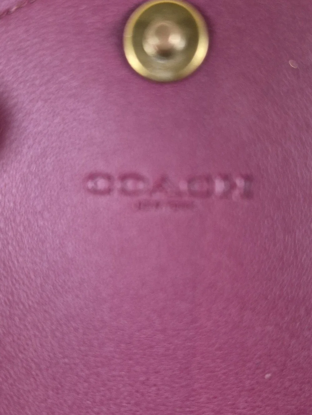 Coach Wyn Soft Wallet In Color-block Signature Canvas